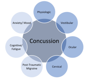 Concussions 101: Part 2 - Types of Concussions - Elevate Physical ...