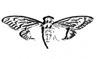 Cicada 3301 - Wikipedia