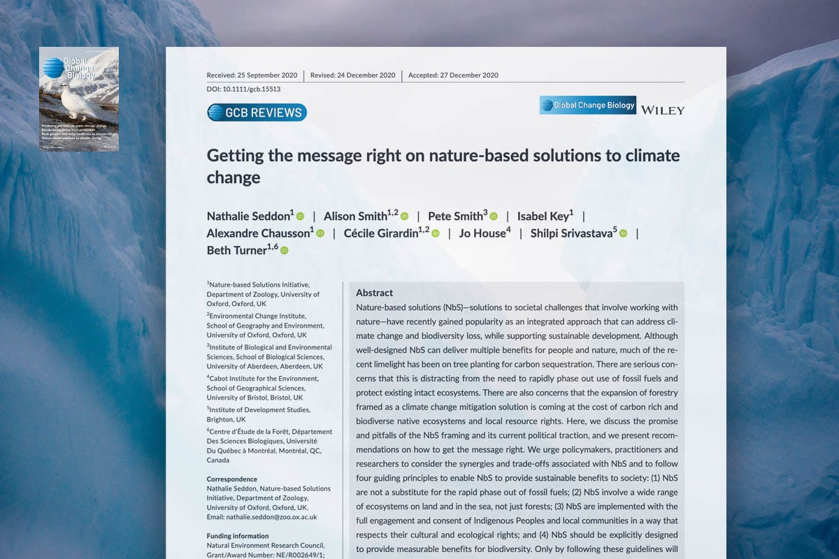 Picture of paper, first page