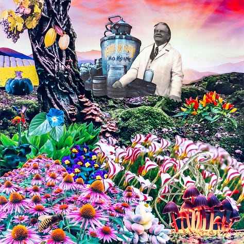 Collage by Suzy Starlite