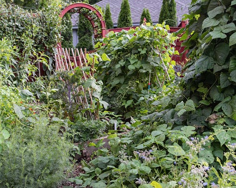 ritual, composting, process, hands in soil, abundant garden