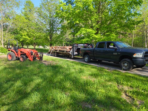 New pullets on-site, lumber logistics and milling, a snapping turtle, and more