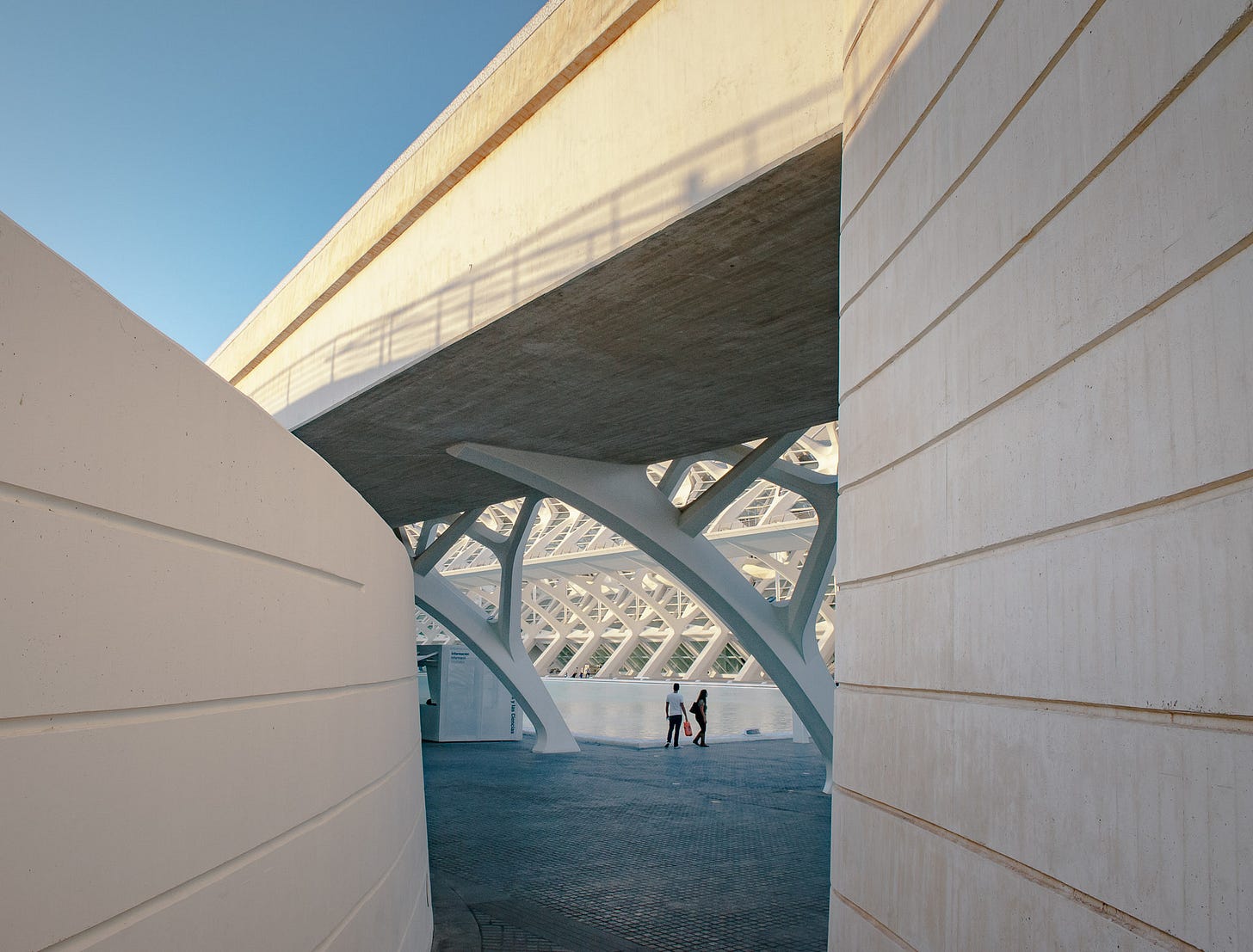 Ciudad de las Artes y las Ciencias - Valencia-DSC_2483-pete-carr-pete-carr.jpg Ciudad de las Artes y las Ciencias - Valencia-DSC_2483-pete-carr-pete-carr.jpg