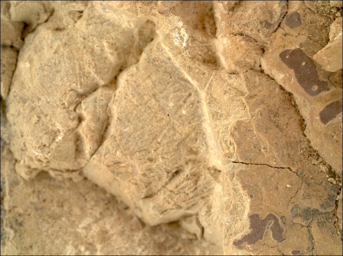 This image was taken by SHERLOC_WATSON onboard NASA's Mars rover Perseverance on Sol 1476