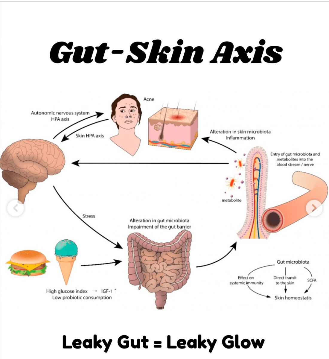Gut skin axis