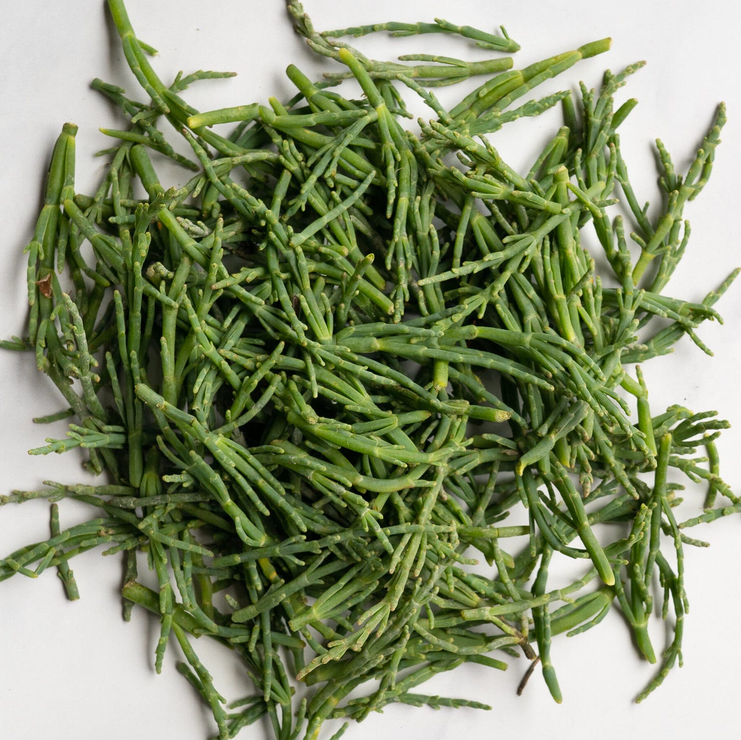 Add Crunch With Sea Beans - The New York Times