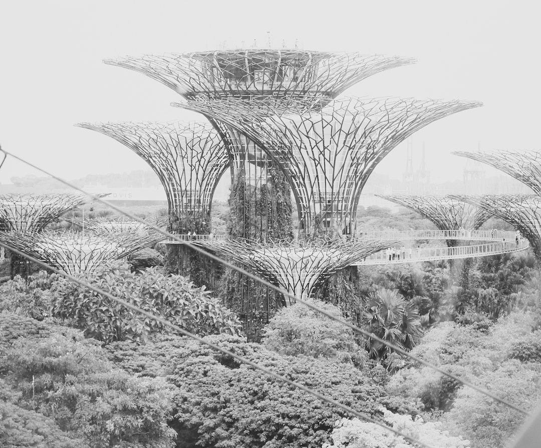 Biomimicry: Nature’s Whispered Design and Human's Response