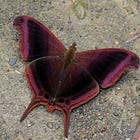 The key to creative fulfillment no matter what 🗝️