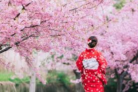 Memoirs of a Geisha - why Kyoto is ...