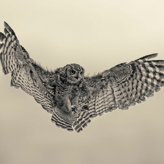 Parts and Perspectives 