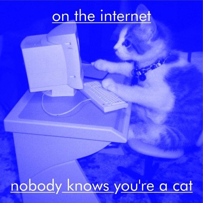 on the internet nobody knows you're a cat