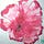 "Eros and Essence: Embracing Sexual and Spiritual Wholeness"