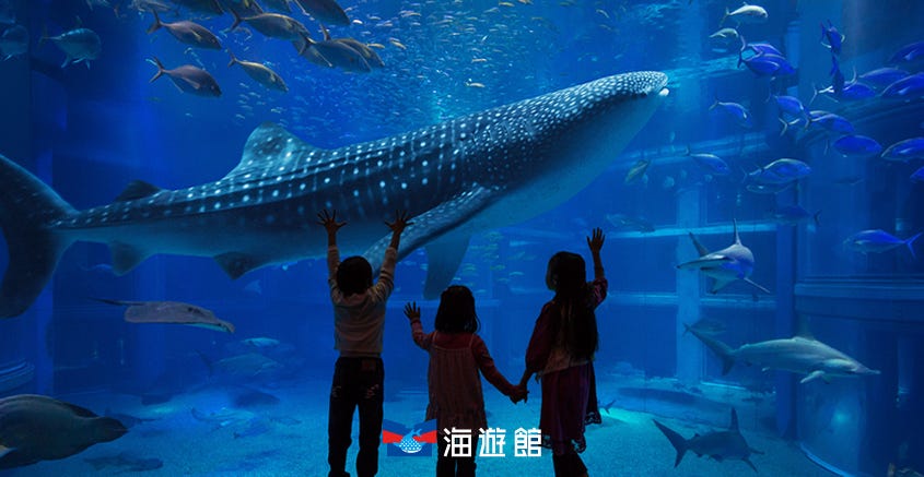 Osaka Aquarium KAIYUKAN