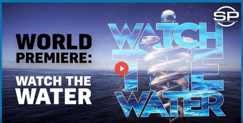 pierrekory.substack.com