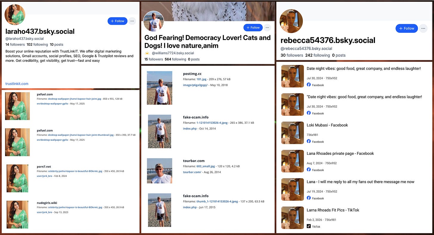 collage of profile images of low quality followers, and reverse image searches showing the accounts' profile photos are plagiarized collage of profile images of low quality followers, and reverse image searches showing the accounts' profile photos are plagiarized