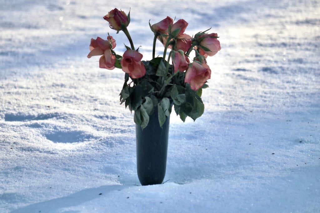 Dieses Bild hat ein leeres Alt-Attribut. Der Dateiname ist 5FEB1DC6-6461-4C0C-9820-007E7C4718BA_1_201_a-1-1024x683.jpeg