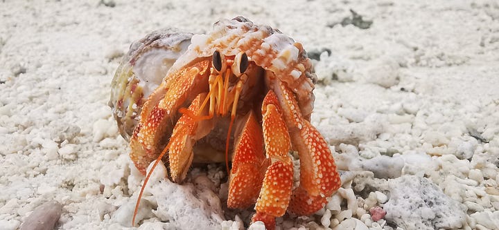 Photos of perfect white beaches in Maldives