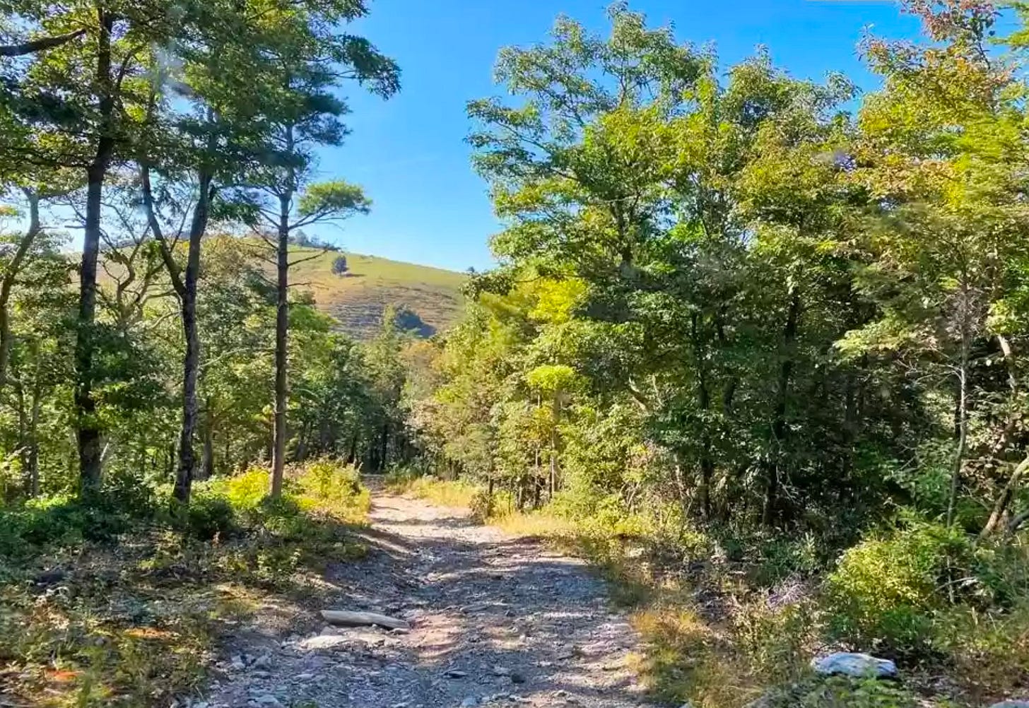 Look at this—We can start our tribe here! Look at this—We can start our tribe here!