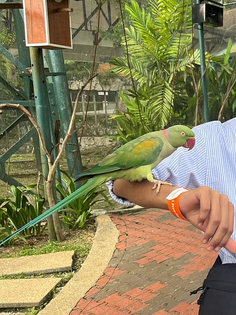 KL Bird Park