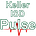 The KISD Pulse