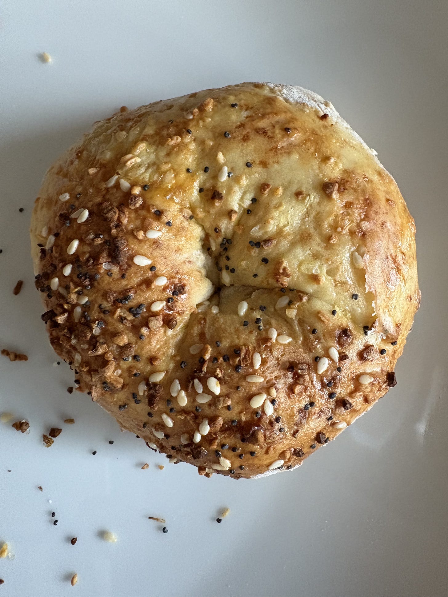 High Protein Bagels recipe