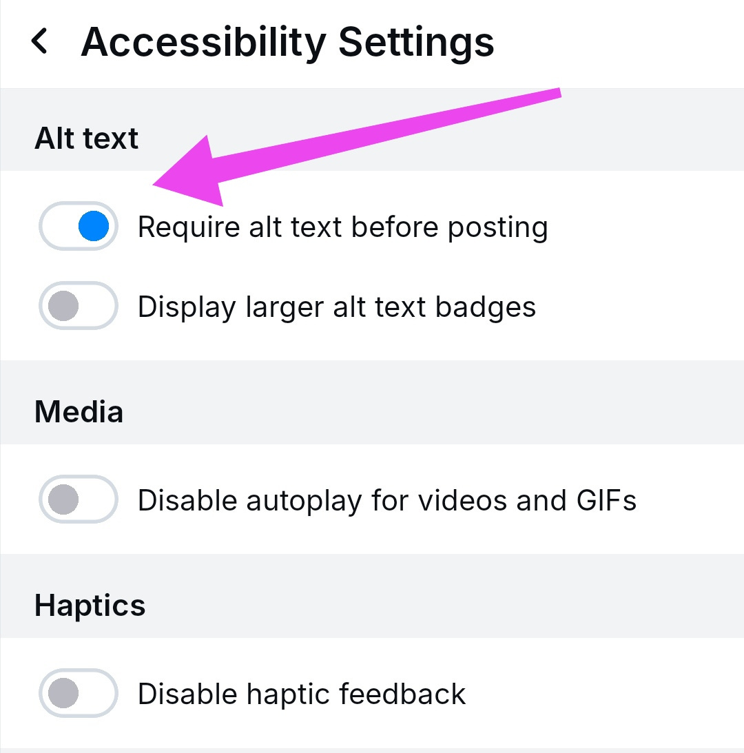 Image displaying Bluesky’s accessibility settings menu, highlighting features for users with diverse needs and preferences.