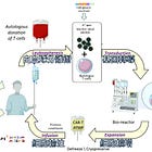 細胞治療各階段說明 (1)：白血球分離術 (Leukapheresis)