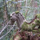 The Art of Returning: Week 3