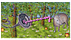 Pighooey