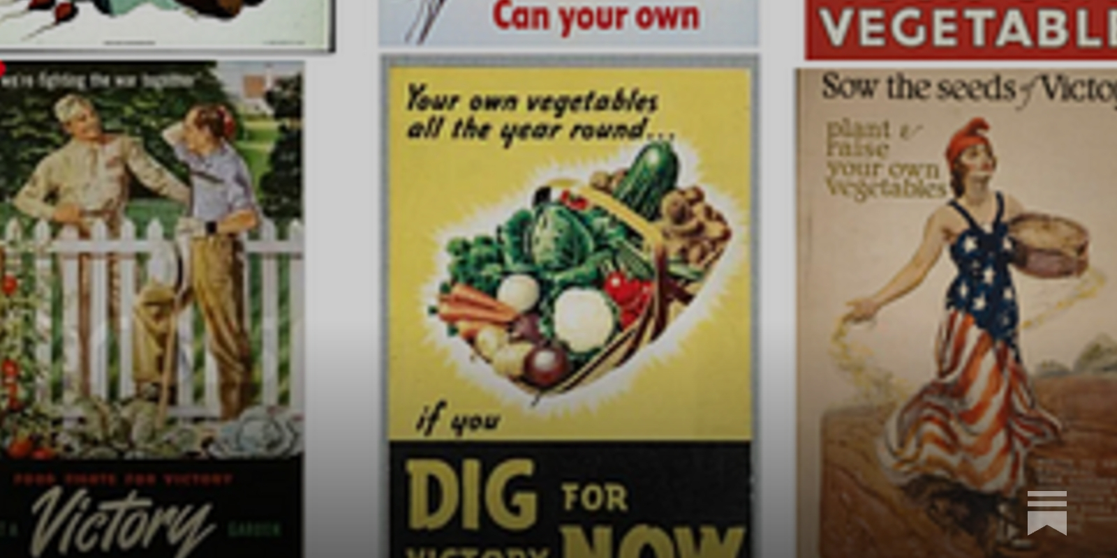 Climate Victory Gardens - Community Ecology Institute, image size:1600x800