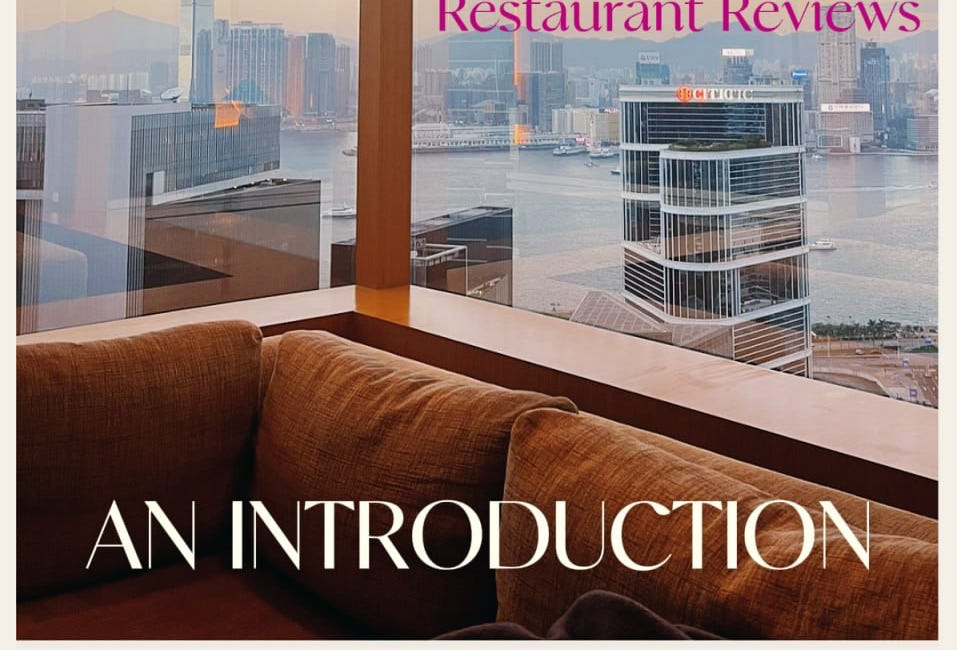 Magenta Notebooks Hotel and Restaurant Reviews: Introduction