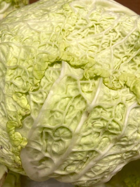 A cabbage A cabbage