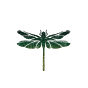 Dragonfly Asset Management's avatar