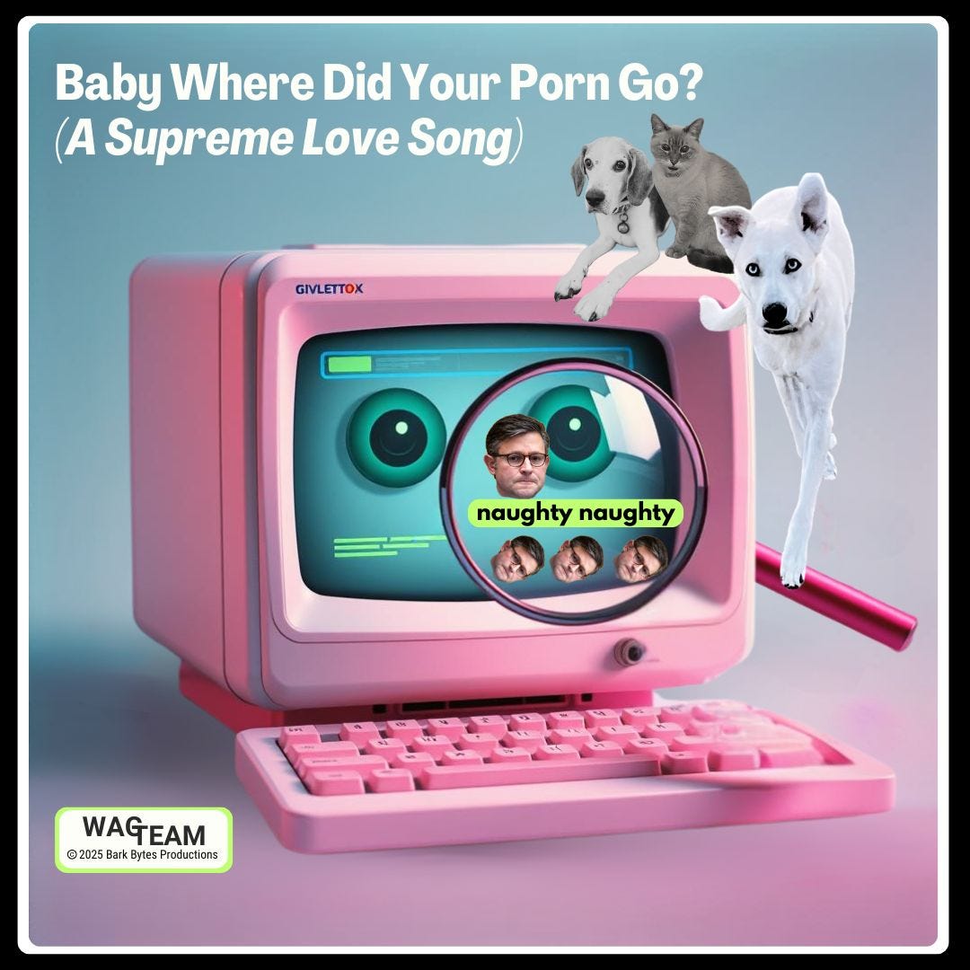 A pink retro computer displaying Mike Johnson's face with "naughty naughty" text and surveillance icons, while WAG TEAM pets look on with concern.