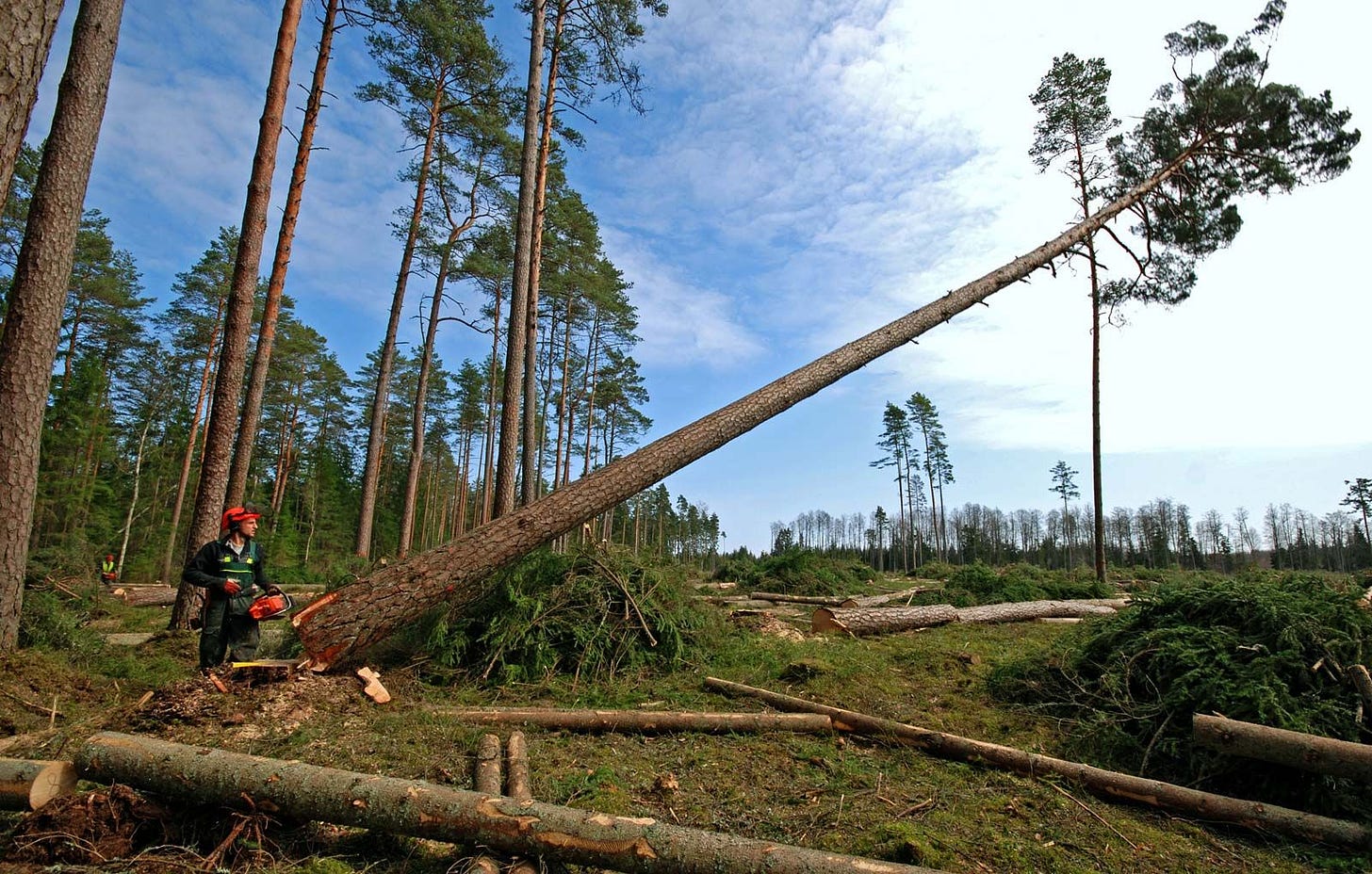 Logging | Definition & Facts | Britannica Logging | Definition & Facts | Britannica