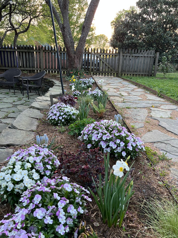 top left: a photo of a sprawling rosebush, top right 3 raised garden beds and a decorative carrot, bottom left: a stone pathway partially covered by a tree, bottom right: a stone pathway and some daffodils and large impatients