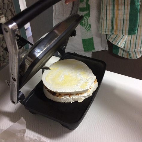 1) Giant puffball in paddock 2) cross section through giant puffball, 3) slice of puffball with chutney and cheese, 4) puffball toastie in panini press, 5) plate of puffball toasties 6) me eating a puffball toastie