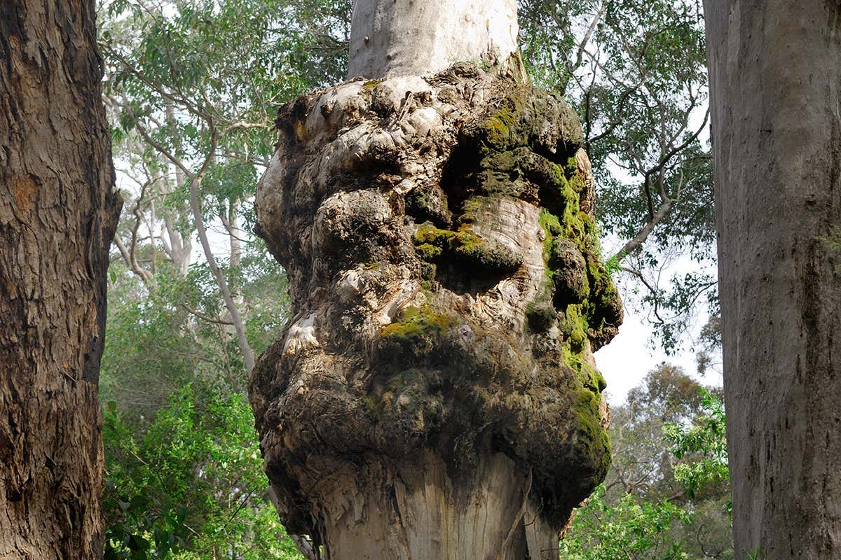 New Scientist. Science news and long reads from expert journalists, covering developments in science, technology, health and the environment on the website and the magazine.