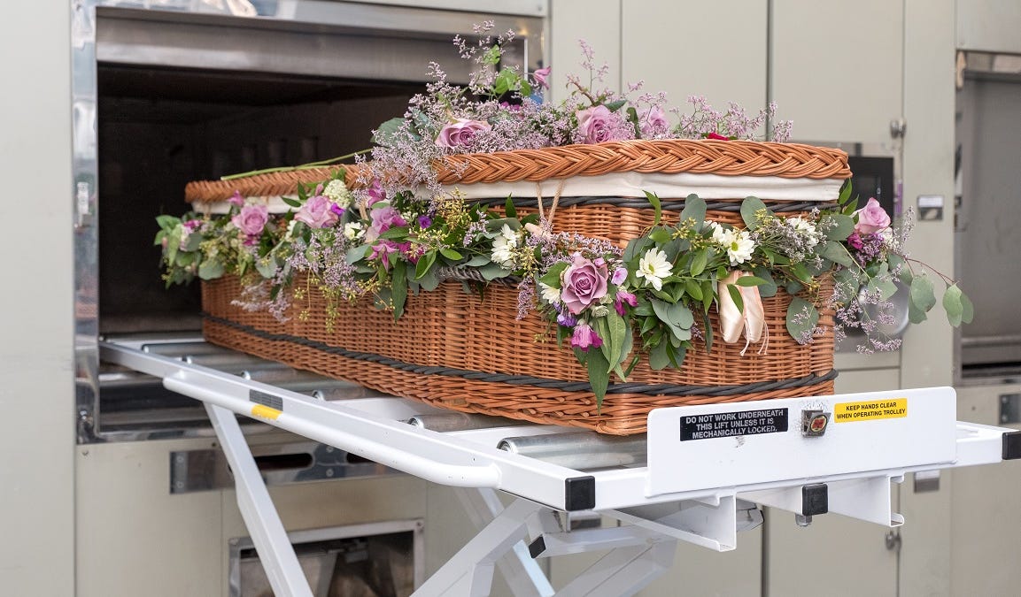 substackcdn.com image