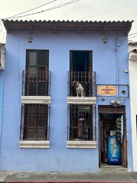 Colourful buildings in Antigua