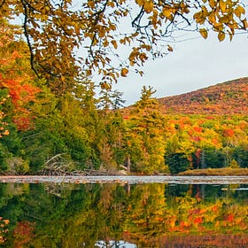 Why you should move to NY State