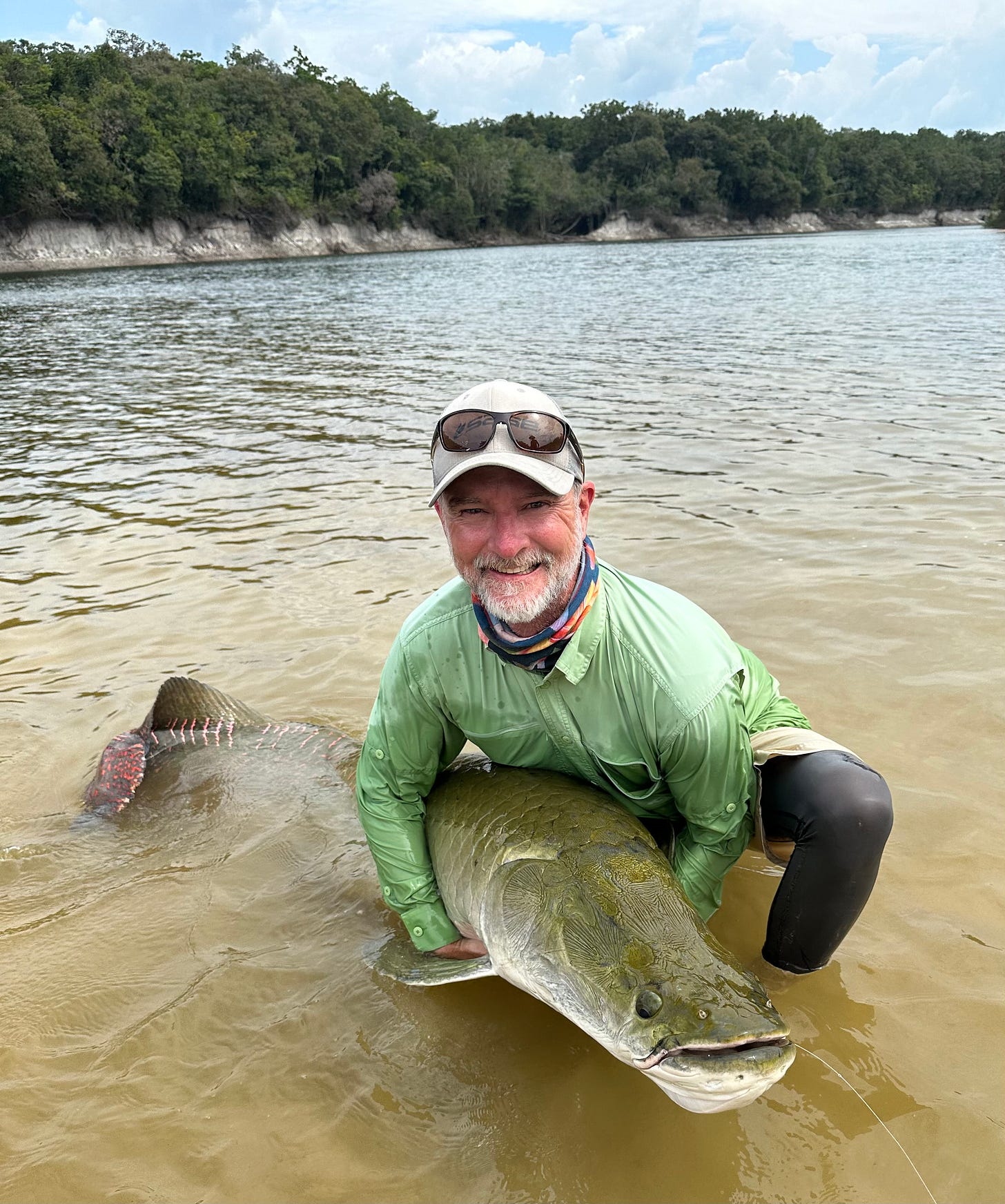 Angler holding a large Arapaima in the Agua Boa River, while fishing at the Agua Boa Amazon Lodge in Brazil.  