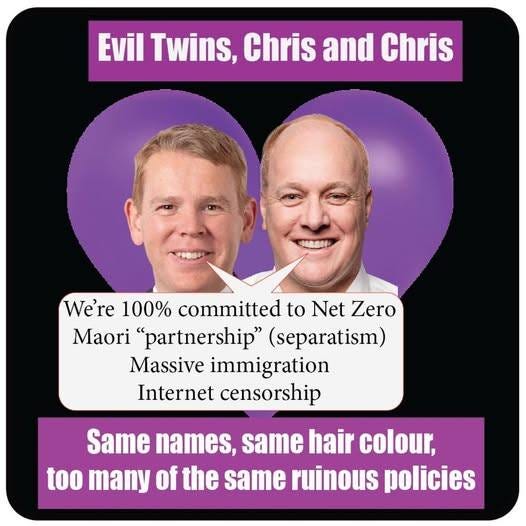 May be an image of text that says "Evil Twins, Chris and Chris We're 100% committed to Net Zero Maori "partnership" (separatism) Massive immigration Internet censorship Same names, same hair colour, too many of the same ruinous uinous policies"