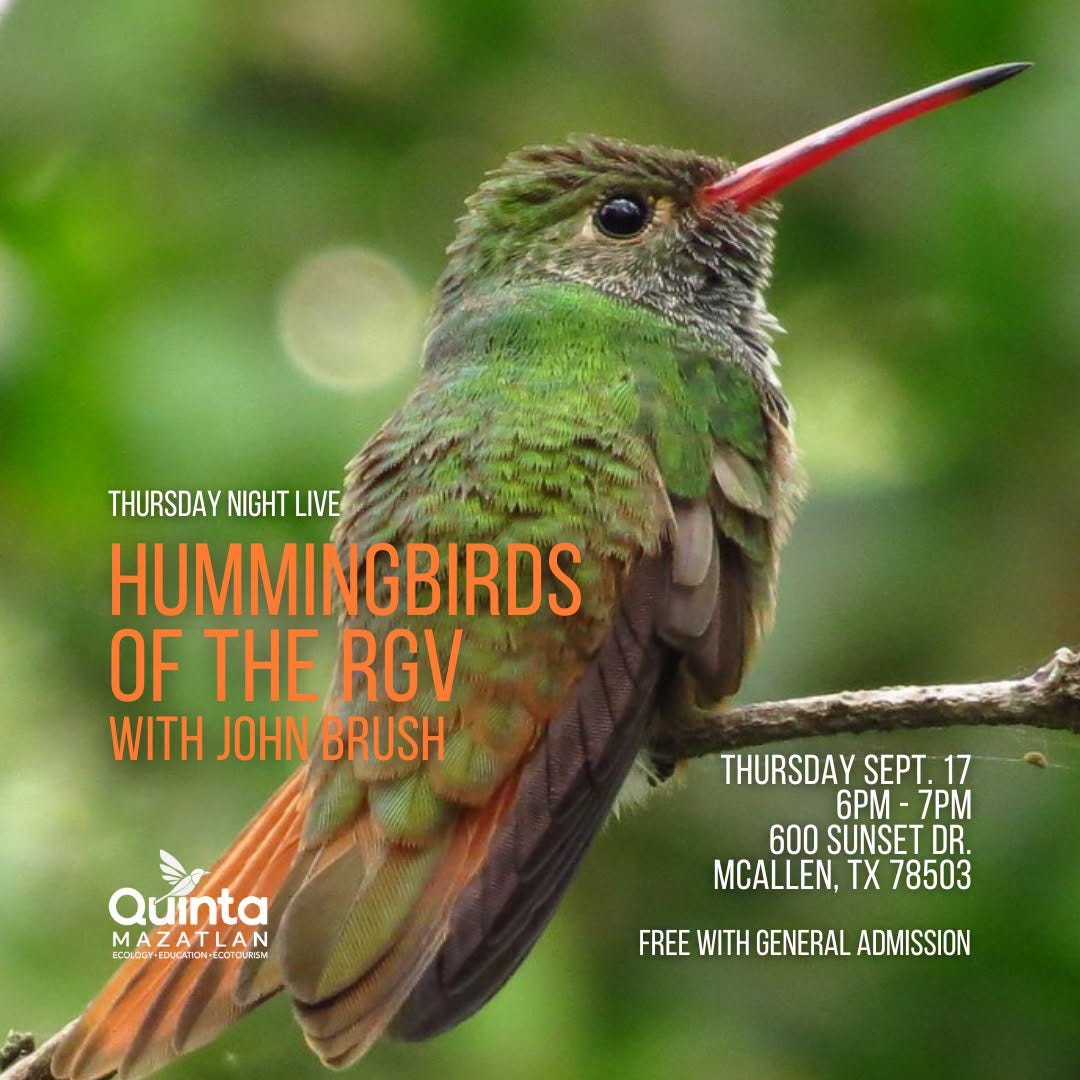 May be an image of hummingbird and text that says 'THURSDAY NIGHT LIVE HUMMINGBIRDS OF THE RGV WITH JOHN BRUSH Quinta MAZATLAN O.-Иbl.Kar-и oc THURSDAY SEPT. 17 6P -7PM 600 SUNSET DR. MCALLEN, TX 78503 FREE FREEWITHGENERALADMISSION WITH GENERAL ADMISSION' May be an image of hummingbird and text that says 'THURSDAY NIGHT LIVE HUMMINGBIRDS OF THE RGV WITH JOHN BRUSH Quinta MAZATLAN O.-Иbl.Kar-и oc THURSDAY SEPT. 17 6P -7PM 600 SUNSET DR. MCALLEN, TX 78503 FREE FREEWITHGENERALADMISSION WITH GENERAL ADMISSION'