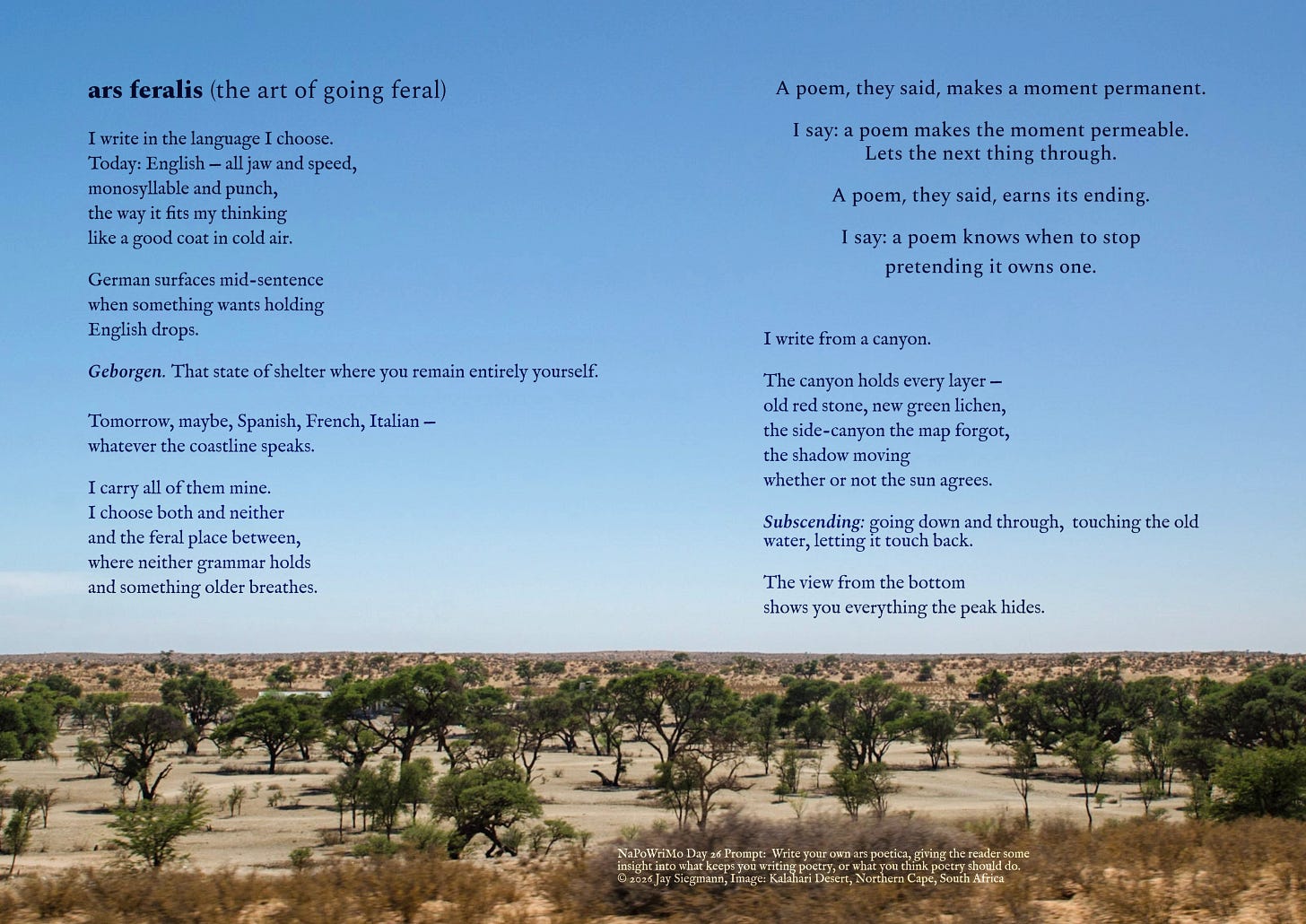 First page of a visual poem layout. Title ars feralis (the art of going feral) in bold serif at top left. Two columns of poetry in dark serif font sit against a pale blue Kalahari sky, the landscape visible in the lower third — dry sand, scrub brush, scattered acacia trees stretching to the horizon.