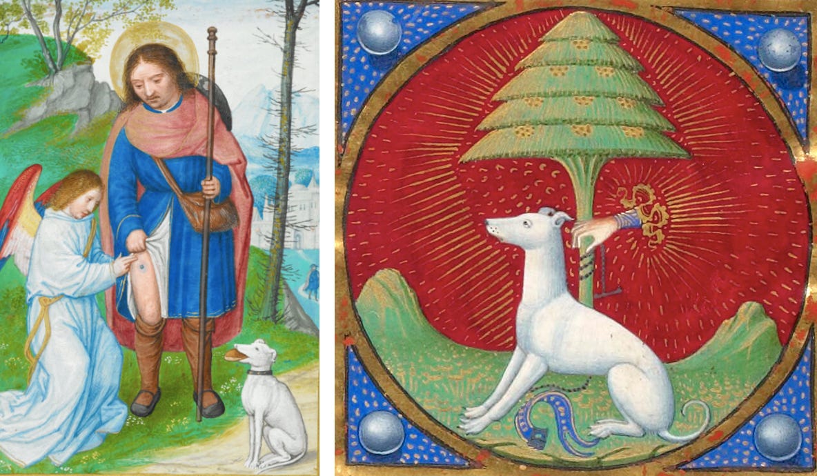 Why did medieval people draw such weird-looking dogs?