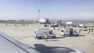 Sniffer dog swarms Turkish Airlines flight after chilling Wi-Fi bomb hoax Sniffer dog swarms Turkish Airlines flight after chilling Wi-Fi bomb hoax
