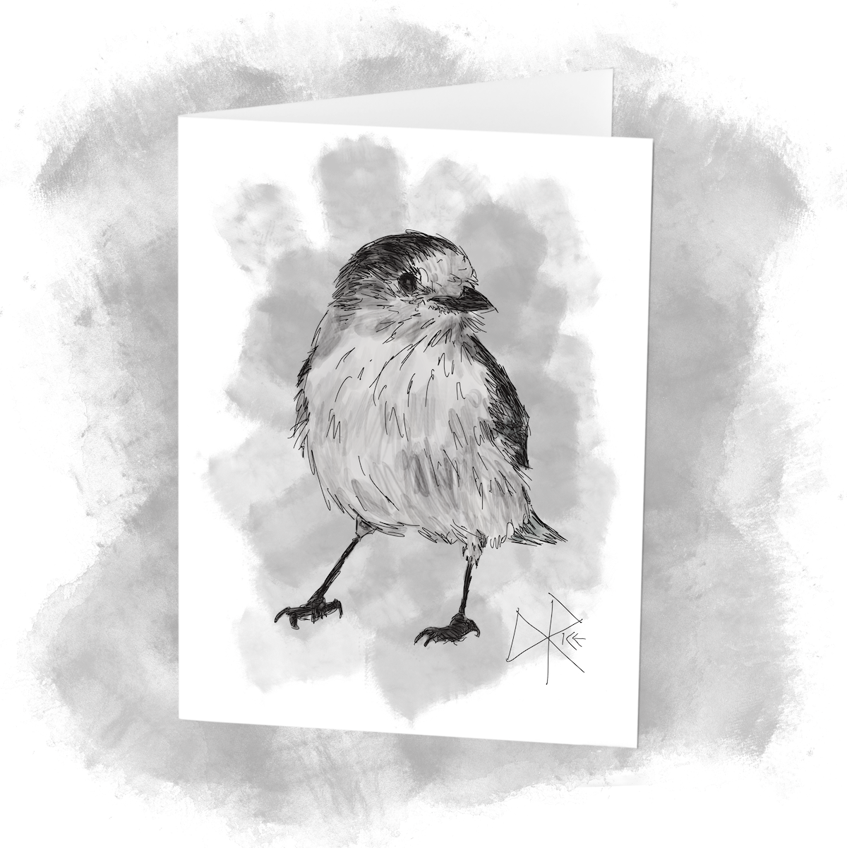 A whisky jack, looking up at me in a short pause while hunting for food in the snow. Sketch art by Don Rice. A whisky jack, looking up at me in a short pause while hunting for food in the snow. Sketch art by Don Rice.