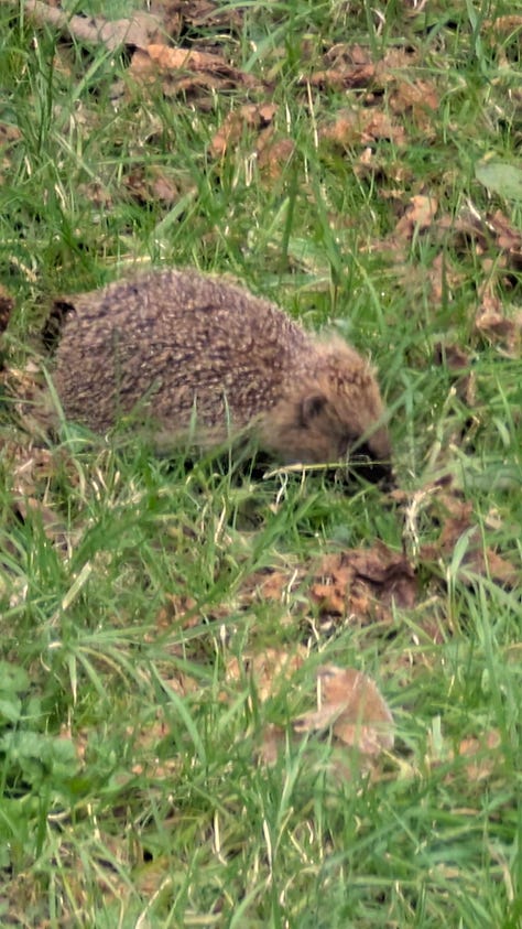 Photos from Devon in March