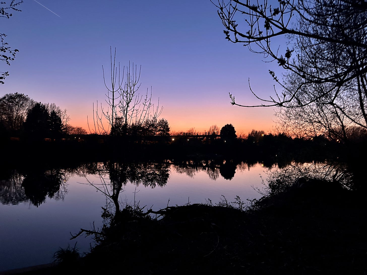 Trees and surrounding brush are silhouetted against a pink and purple sky which is reflected in pond water below. 